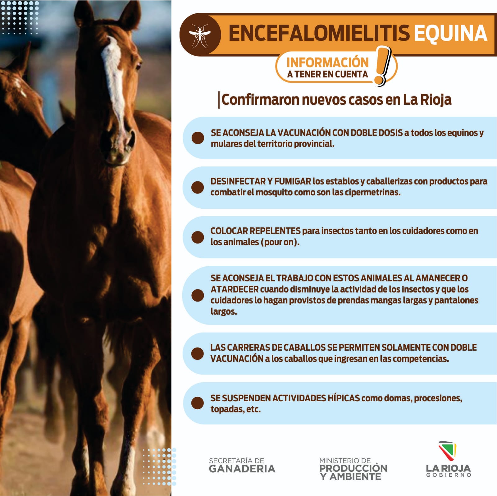 Confirmaron tres casos de encefalomielitis equina en la provincia.