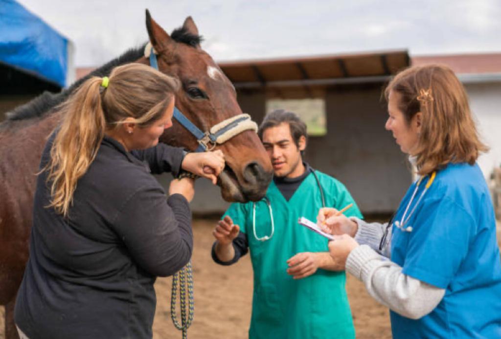 El Ministerio de Salud lanzó una alerta por casos de Encefalomielitis Equina La Rioja.