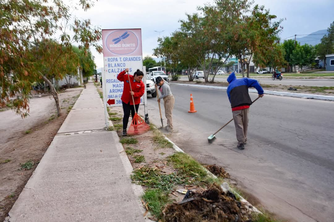 El Municipio de la Capital efectuó un nuevo operativo de limpieza en la zona Sur.