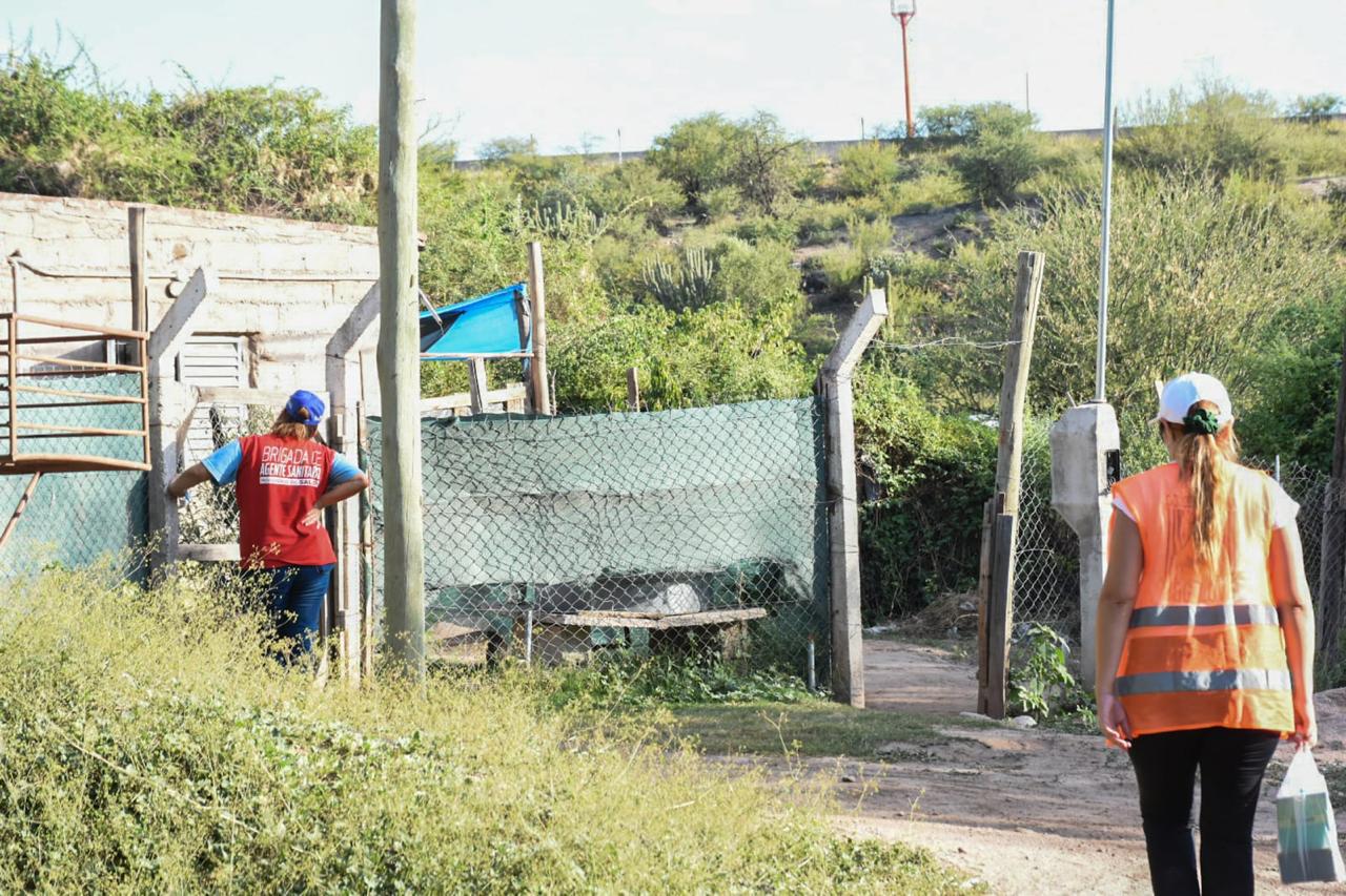 El Comité Estratégico Dengue-Manzanas continúan las tareas en barrios de la Capital.