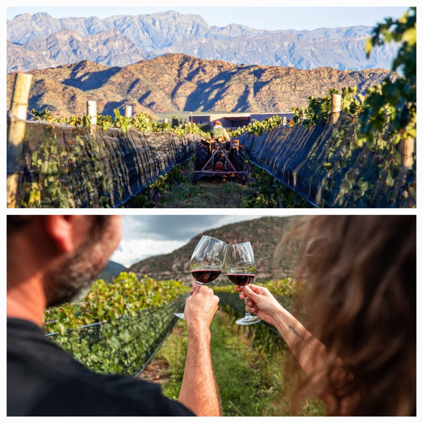 La Ruta del Vino del Valle de Famatina posiciona a La Rioja entre las nominadas a los premios Winexplorers 