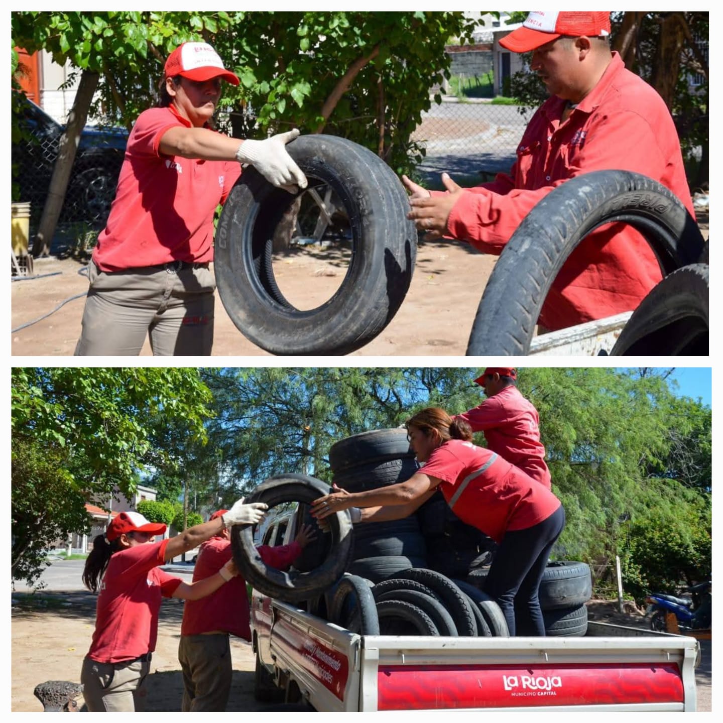 El Municipio Capital desplegó un operativo preventivo contra el dengue
