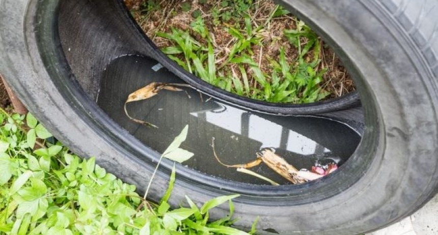 Intensifican acciones de descacharreo para prevenir el dengue