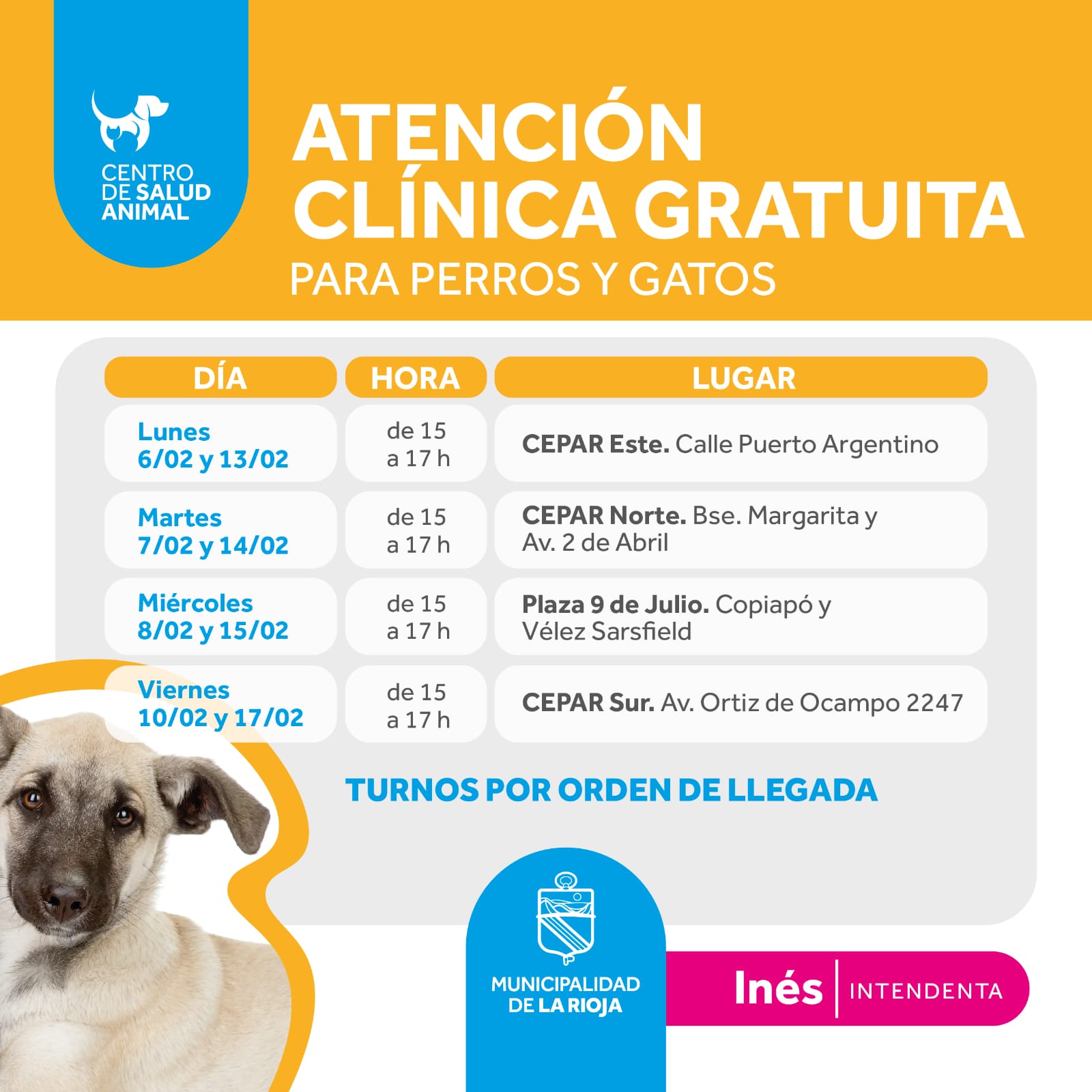 El Equipo de Proteccion Animal Municipal sale a los Barrios