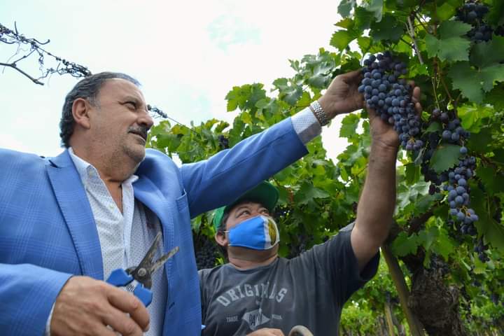 El Gobernador Quintela participará del inicio de la Vendimia 2024 en la finca Pampa del Viento.