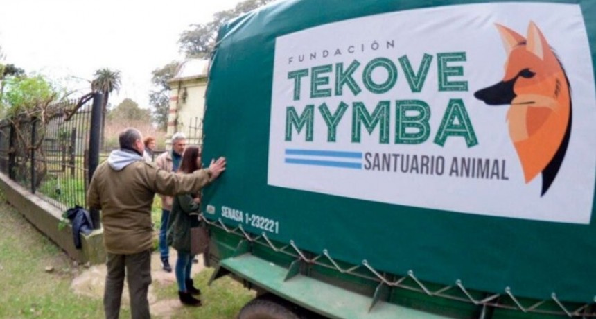 Tekove Mymba en la mira