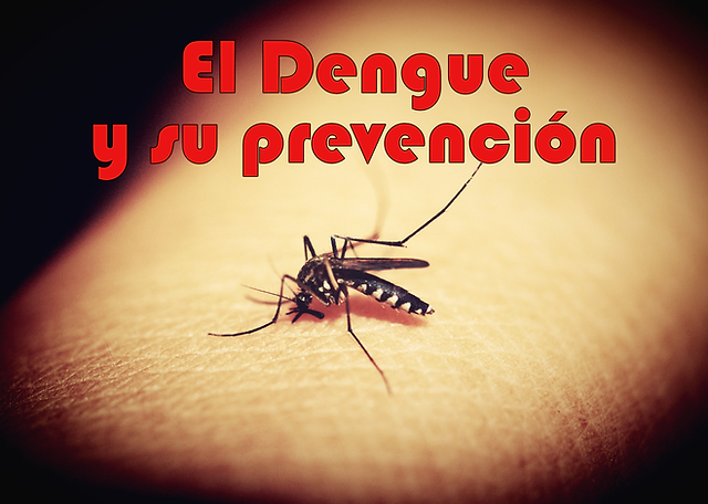 Dengue. El Ministerio de Salud declaró alerta epidemiológica y pidió extremar las medidas preventivas.