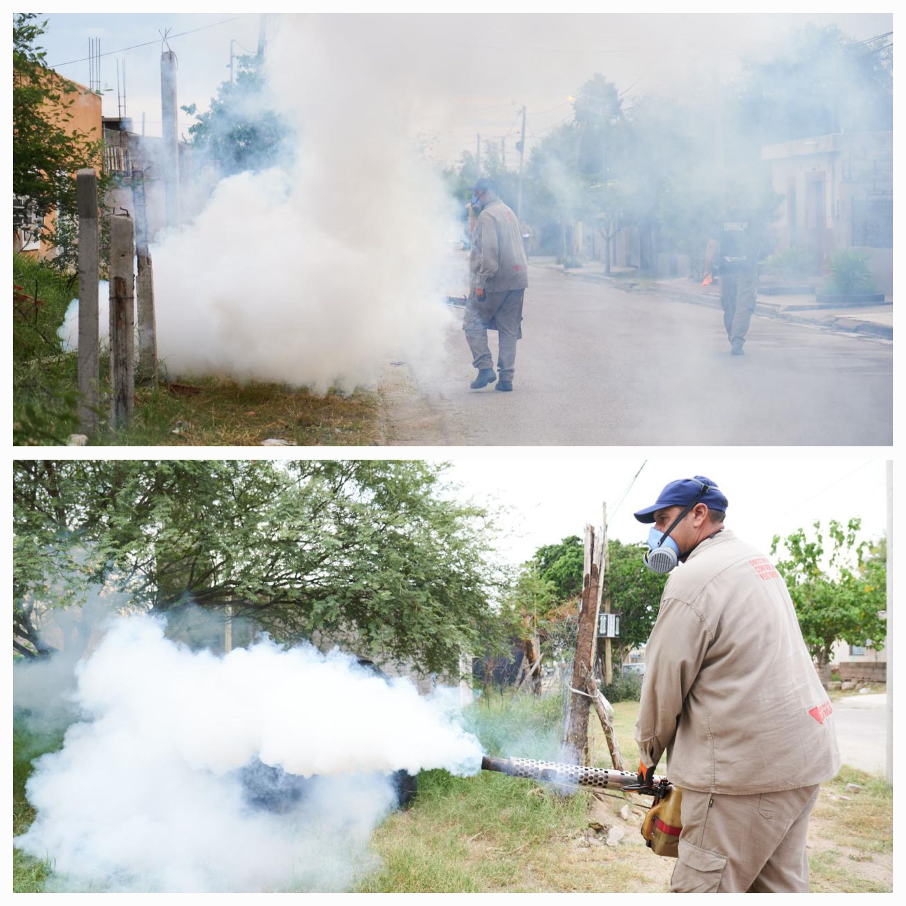 Intensifican acciones sanitarias y de territorio para controlar el brote de dengue.