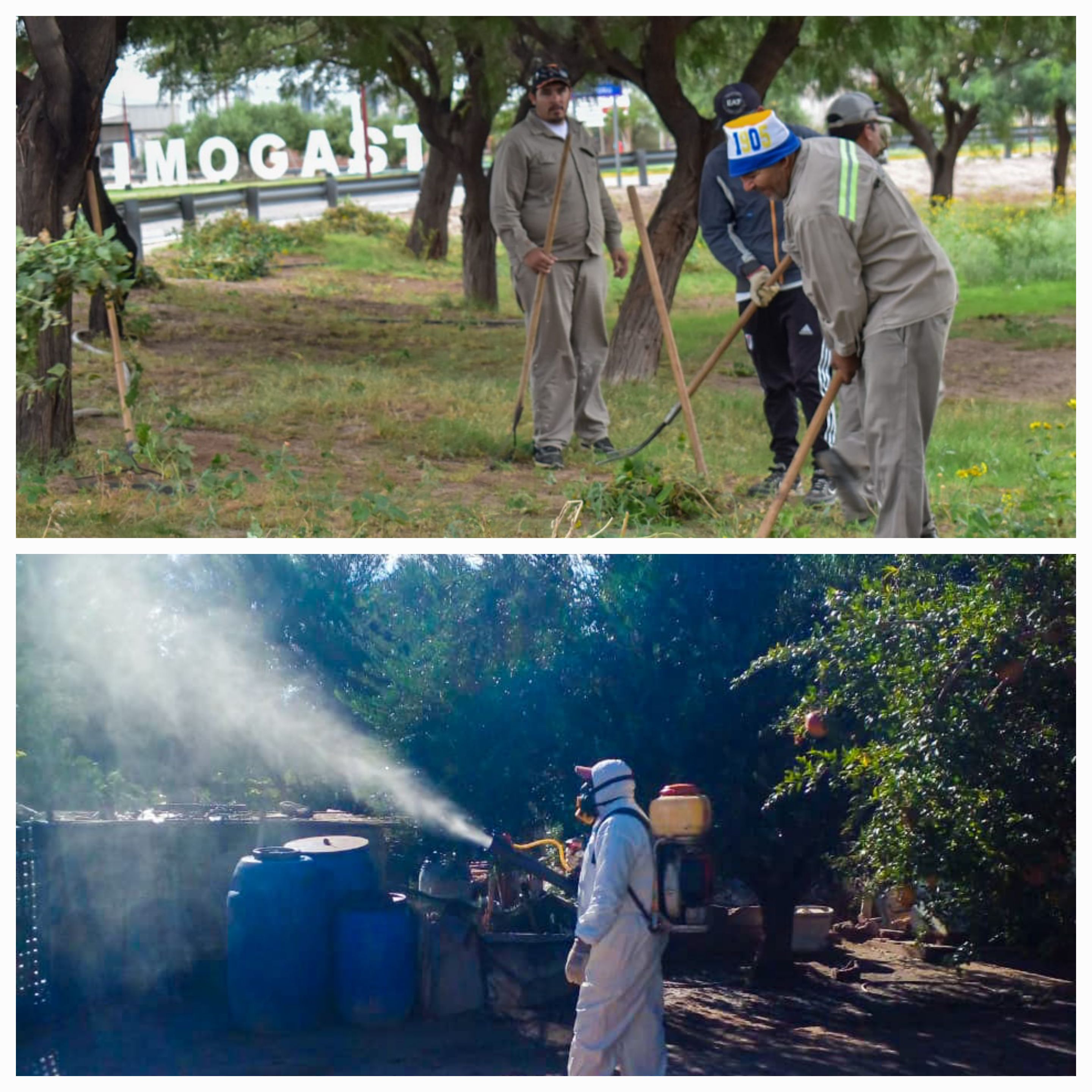 En Arauco se realizan acciones para evitar la proliferación del mosquito Aedes Aegyptis transmisor del Dengue.