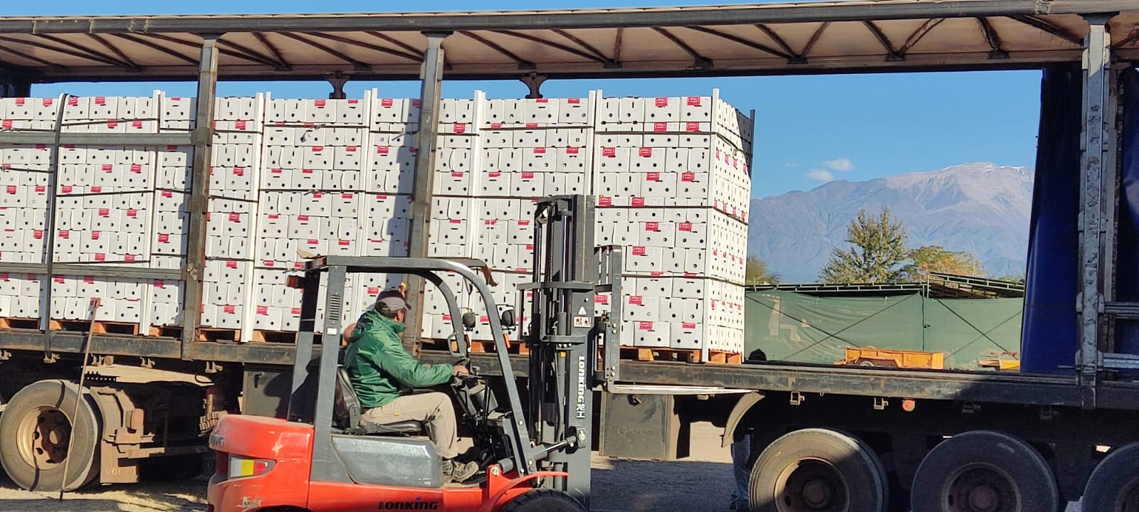 Hortícola Riojana se consolidó entre las nuevas empresas exportadoras argentinas 