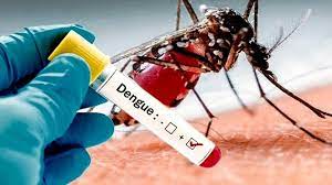 Se reportaron 3 nuevos casos de dengue en La Rioja