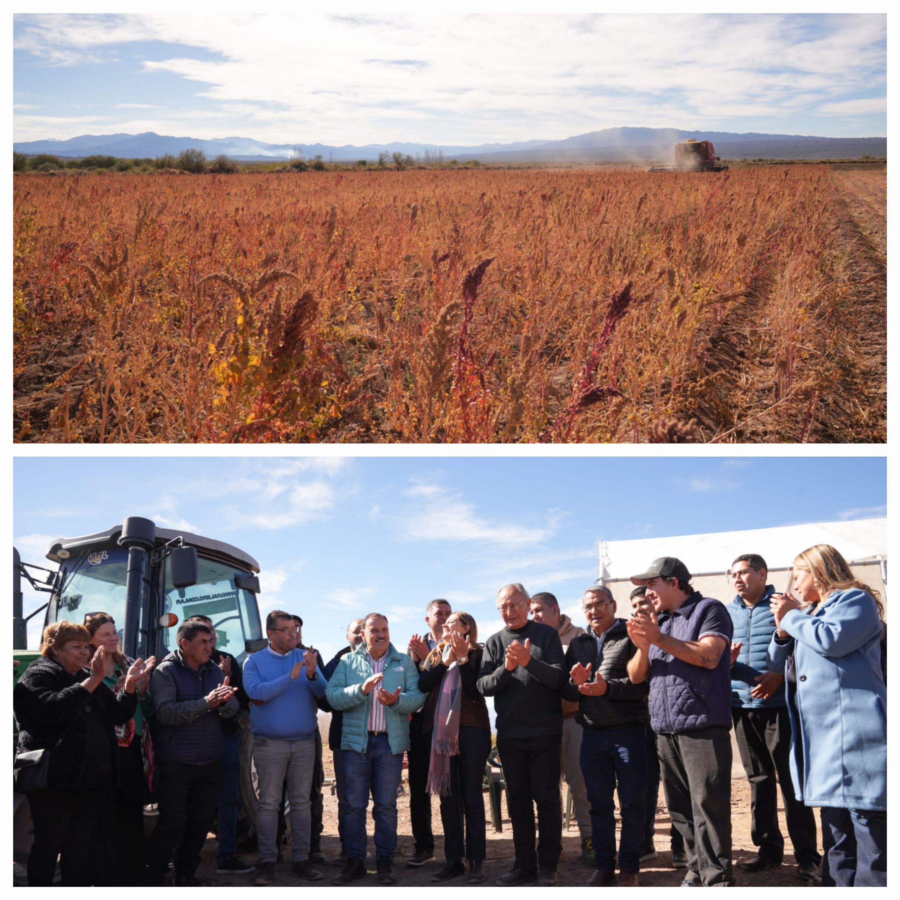 Un ejemplo de producción agrícola. El gobernador visitó la finca Quinoa Produce en Jagüé con 280 hectáreas productivas.