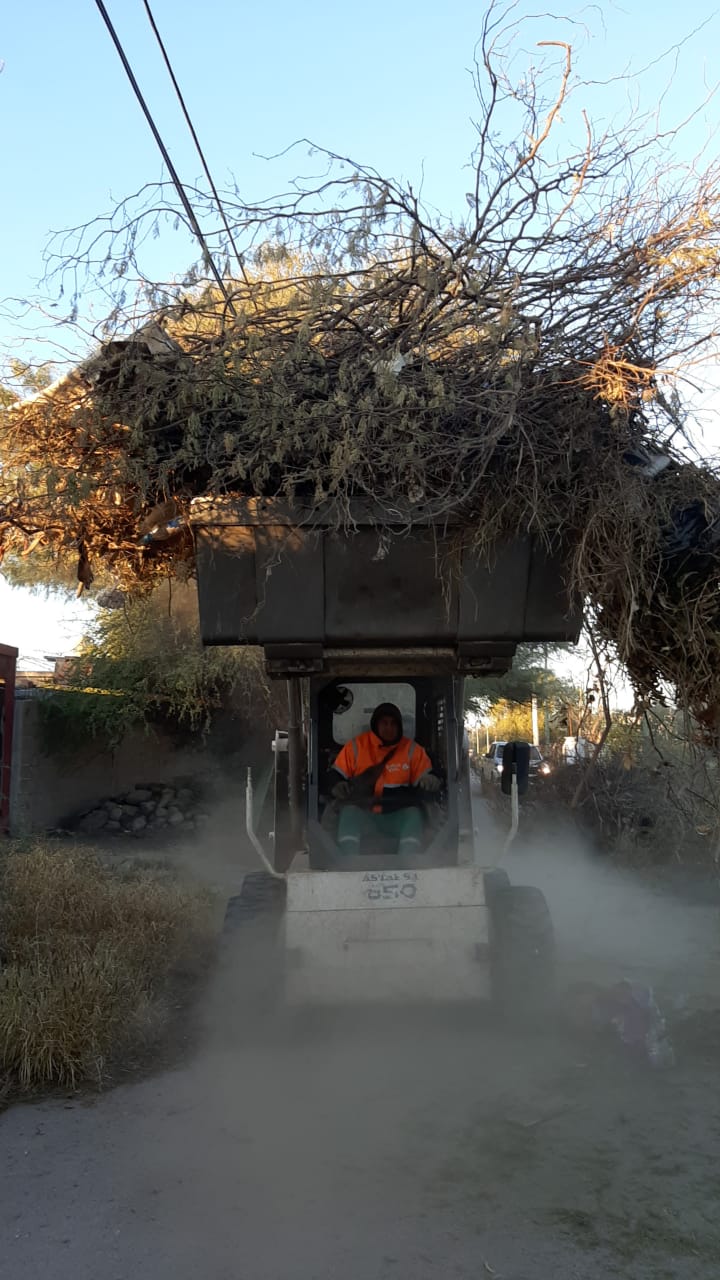 El COE continúa la lucha contra el Dengue mediante el trabajo puerta a puerta en toda la ciudad.