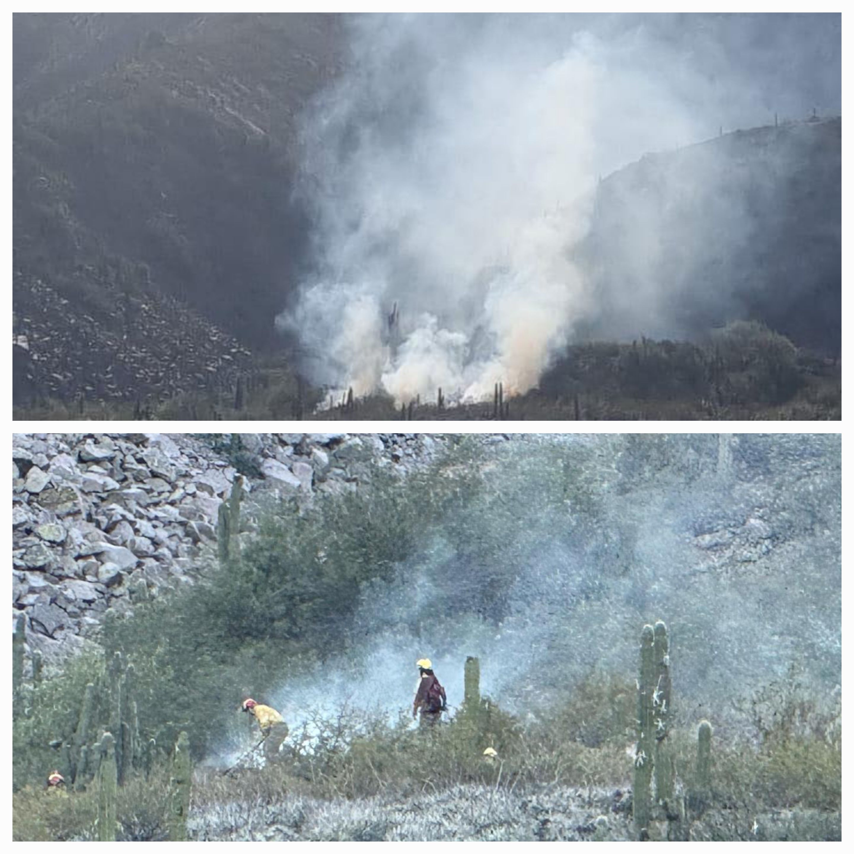 Combaten tres focos de incendios en la Provincia