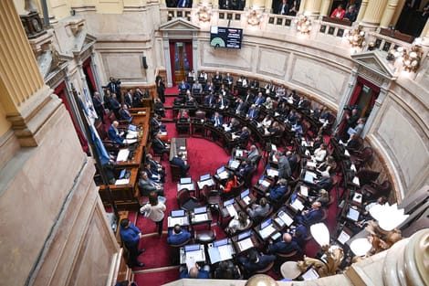 El Senado rechazó la ley de 