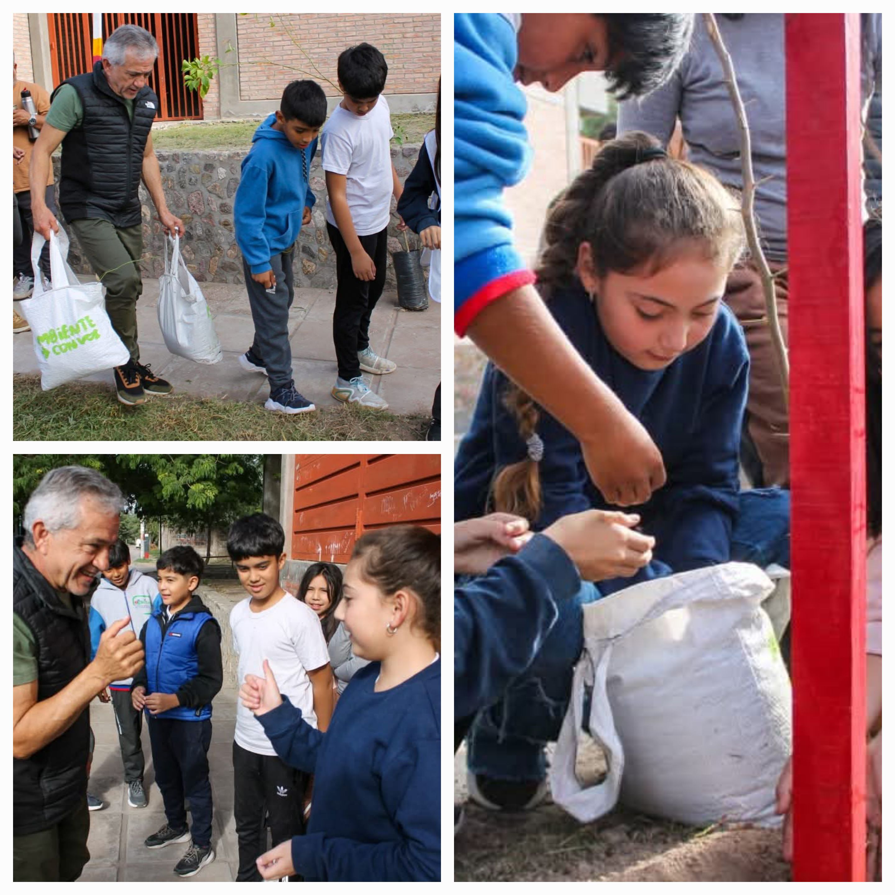 Comunidad Verde: El Municipio continúa plantando en nuestra Ciudad.