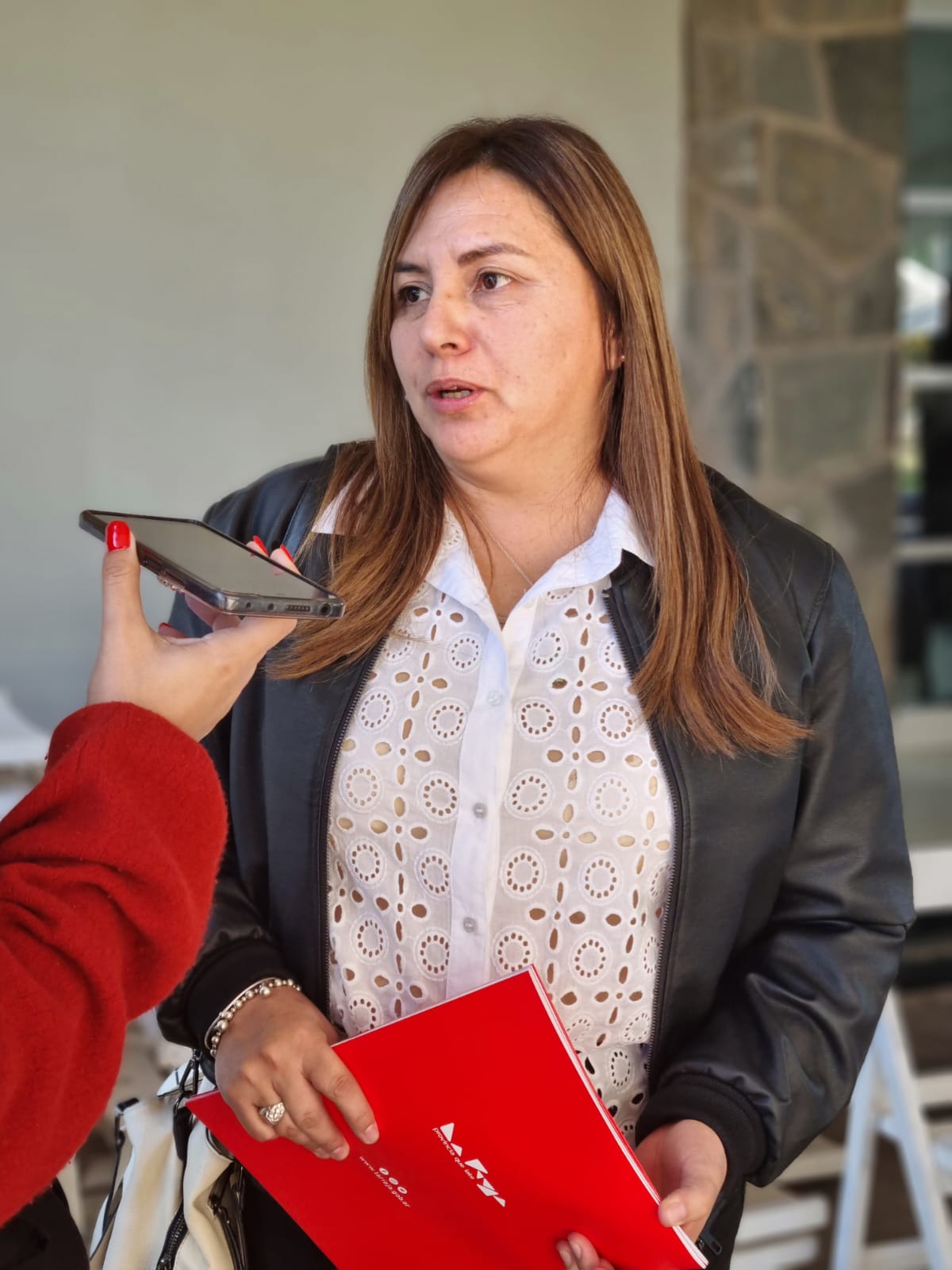 Roxana Tejada: “El gobernador está buscando una reforma constitucional federal”