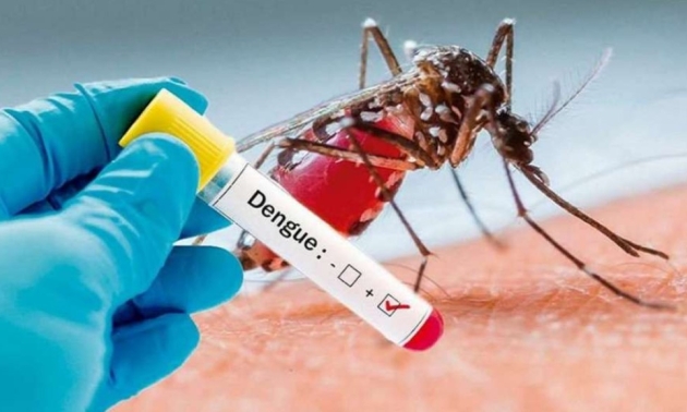 La Rioja ya acumula más de 300 casos de dengue