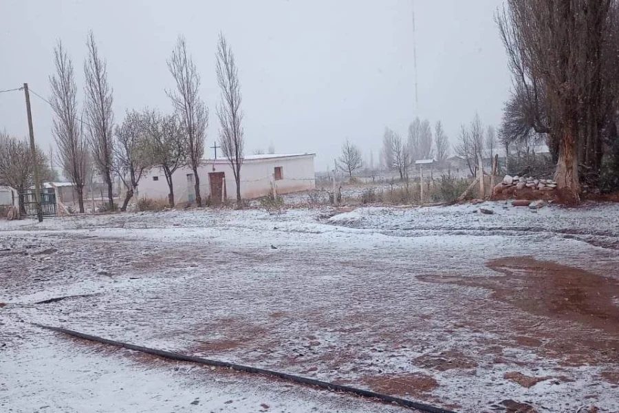 La ola polar se extenderá hasta el jueves