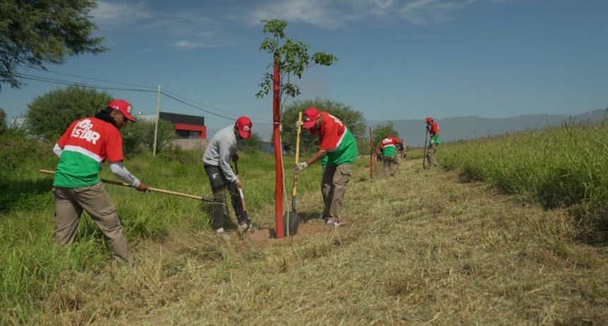 El Gobierno provincial implementa el plan Forestar para contrarrestar los efectos negativos del clima local y la contaminación urbana