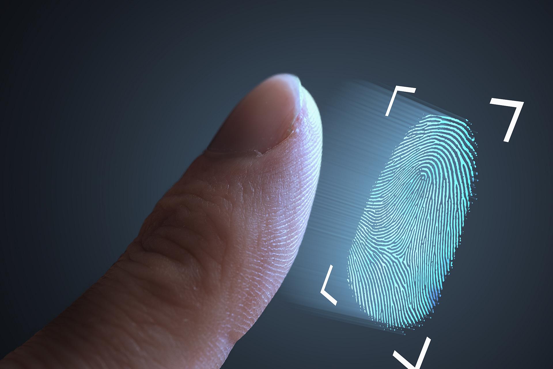 Elecciones PASO: se implementará un dispositivo de Identificación Biométrica de electores