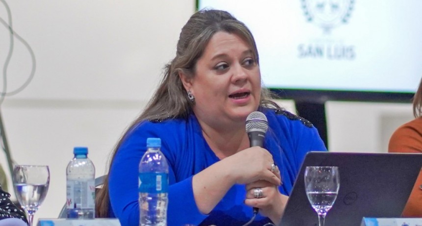 Mujer y Diversidad presentó su plan de lucha contra las violencias en el Consejo Federal 