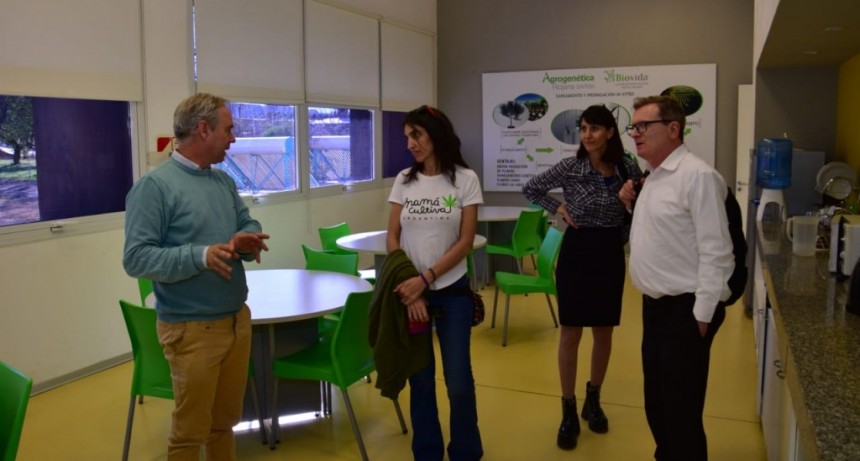 La presidenta de mamá Cultiva elogió el proyecto de Cannabis Medicinal de La Rioja