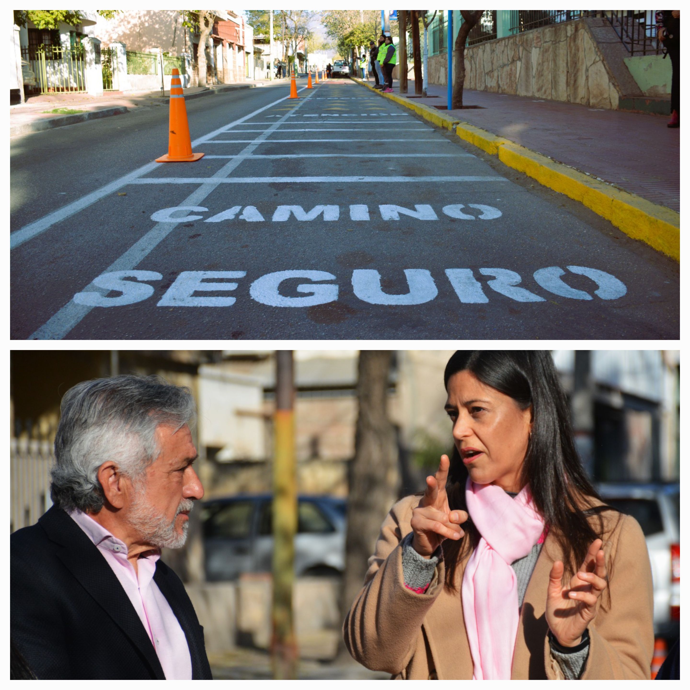 Caminos Escolares Seguros: Orden y Seguridad Vial