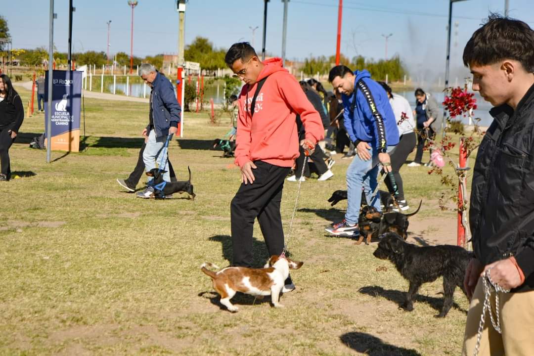 Mas de 120 cuidadores y sus perros asistieron a la escuela Municipal de Adiestramiento canino.