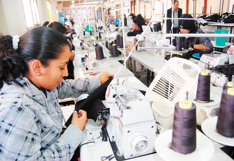 Mientras el empleo cae en casi todo el país, La Rioja lidera el crecimiento laboral con un aumento del 4,1%.