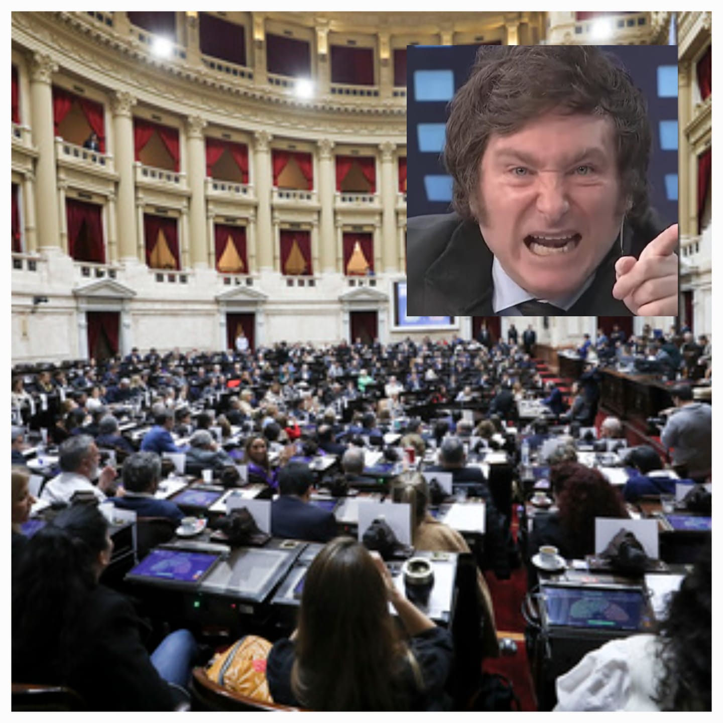 La Libertad Retrocede. Diputados volteó el veto de Milei a la Emergencia en Discapacidad