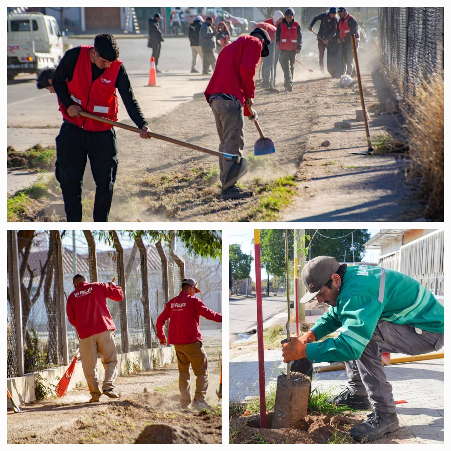 Mis Montañas mas limpia y linda. Continúan los operativos por la Ciudad.