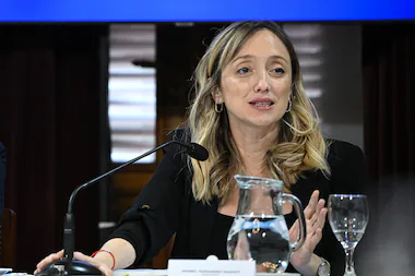 Jugada magistral. Villarruel habilit&oacute; a Fern&aacute;ndez Sagasti a sesionar y votar de forma virtual por su embarazo 