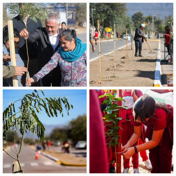 El Municipio de la Capital plant&oacute; mas de 200 &aacute;rboles durante agosto. 
