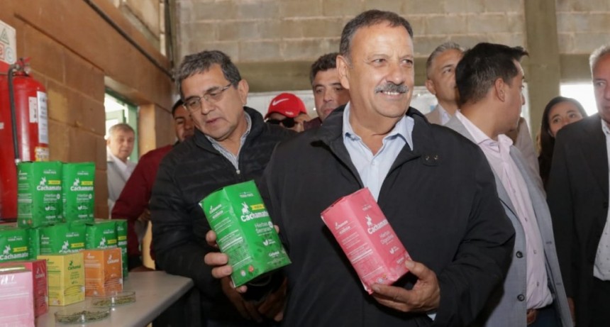 El gobernador Ricardo Quintela resaltó el compromiso de la empresa Cachamai por emplear mano de obra del interior provincial