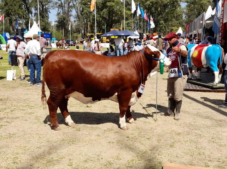 Kayne obtuvo tres nuevos reconocimientos en ExpoBra 2023