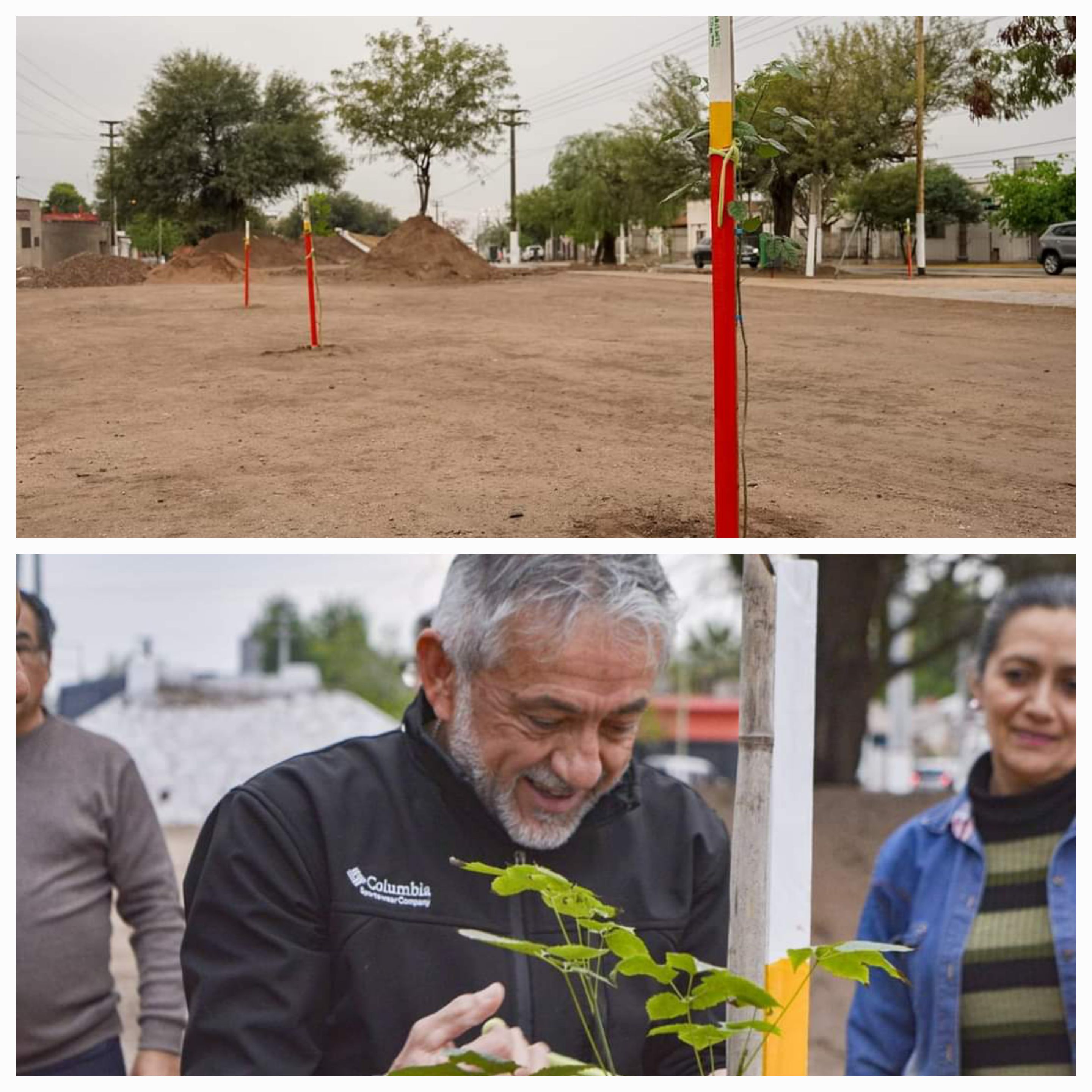 El arbolado como politica de Estado para combatir el cambio climático y crer nuevos pulmones verdes.