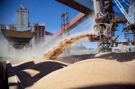 Retenciones cero temporales: la estafa que gestaron las agroexportadoras a los productores gracias al Gobierno