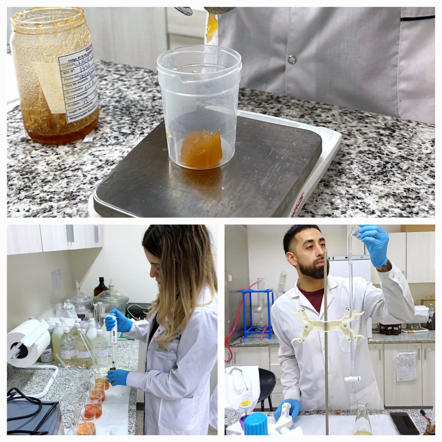 El Instituto de Servicios Ambientales refuerza el control de calidad de la miel con nuevos análisis