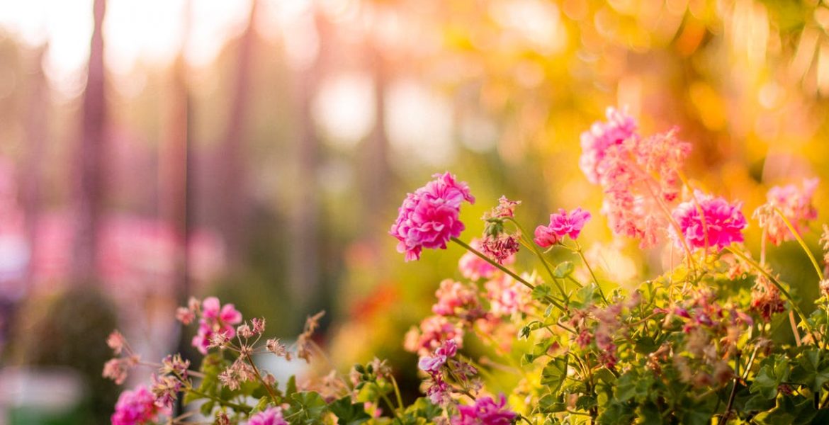 La primavera comienza con 28 grados de máxima en La Rioja