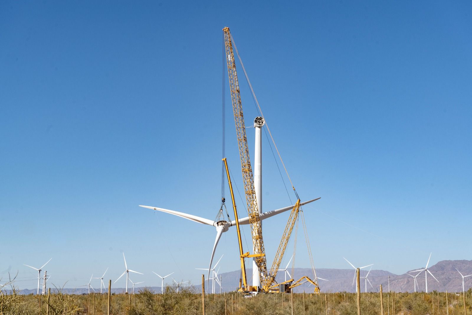 Parque Arauco realiza un importante operativo de mantenimiento en el Parque eólico PEA-I