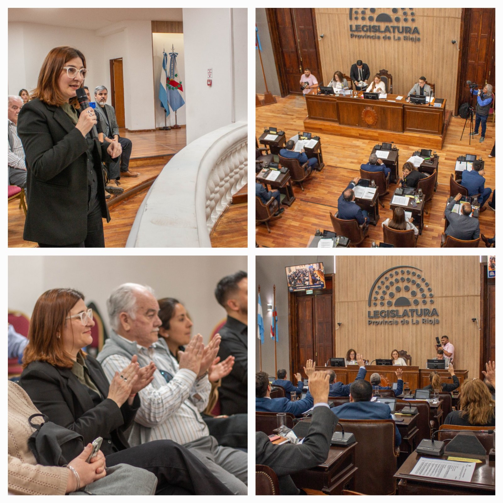 Un hito para la Bioconstruccion en La Rioja. La C&aacute;mara de Diputados aprob&oacute; la ley para su promoci&oacute;n en todo el territorio provincial