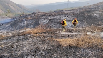 Alerta por peligro de incendios forestales. Rige la prohibici&oacute;n del uso del fuego en entornos naturales de toda la Provincia