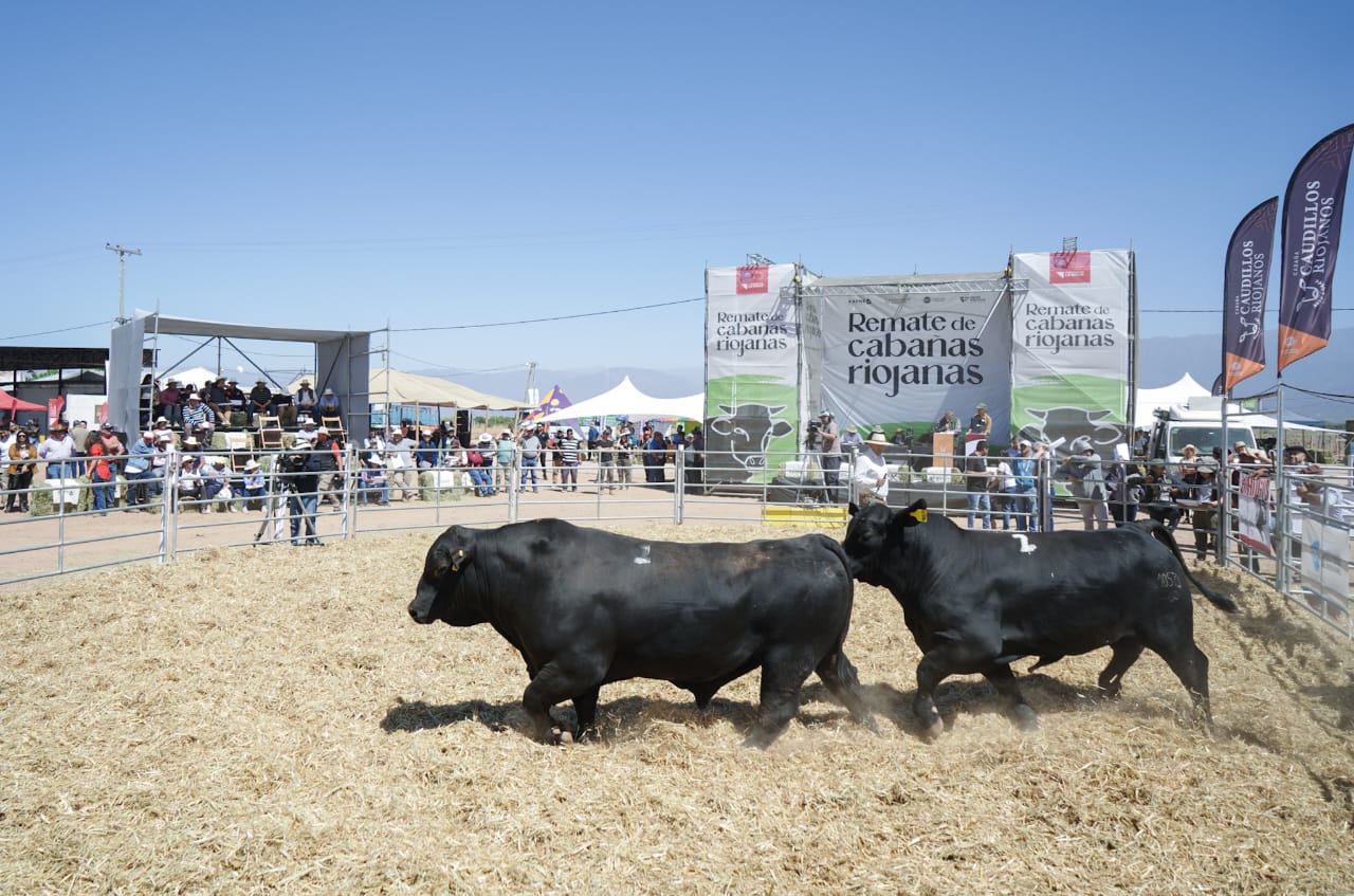 La Rioja es anfitriona de uno de los eventos agropecuarios más importantes de la región