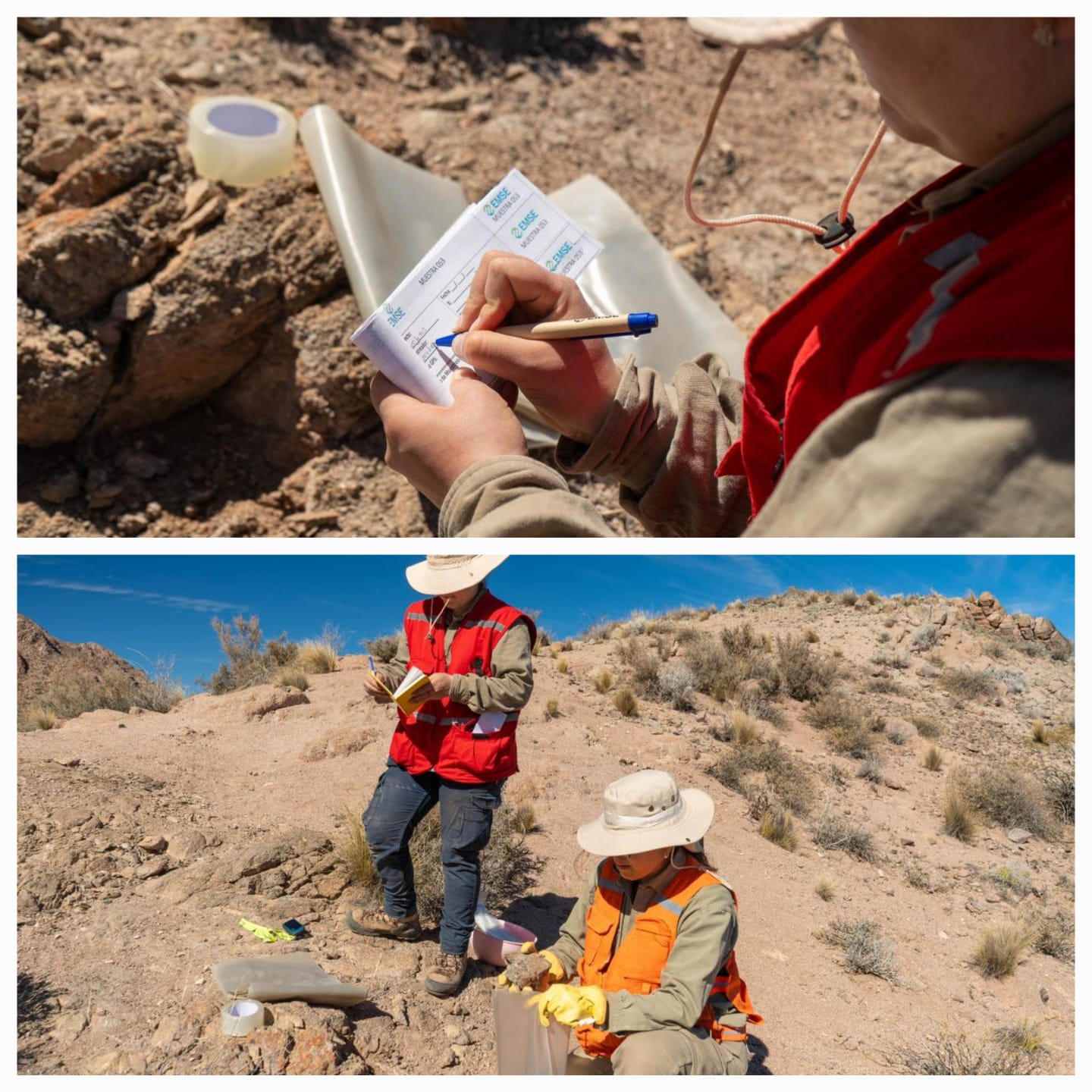 La Provincia apuesta al 