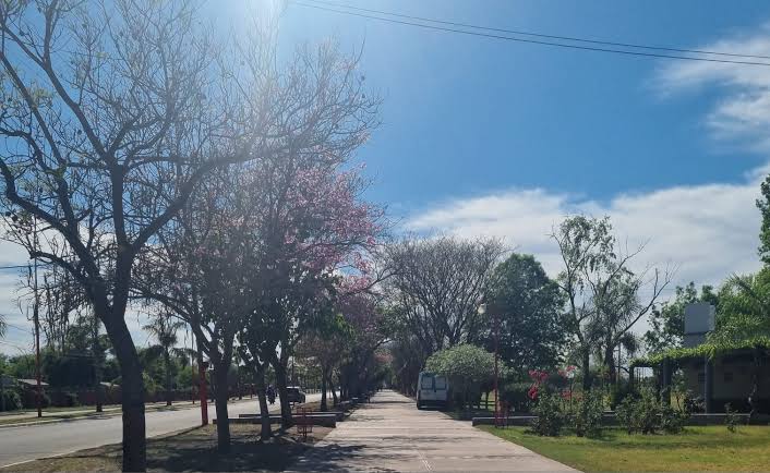 &iquest;Qu&eacute; indica el pron&oacute;stico para este martes ?