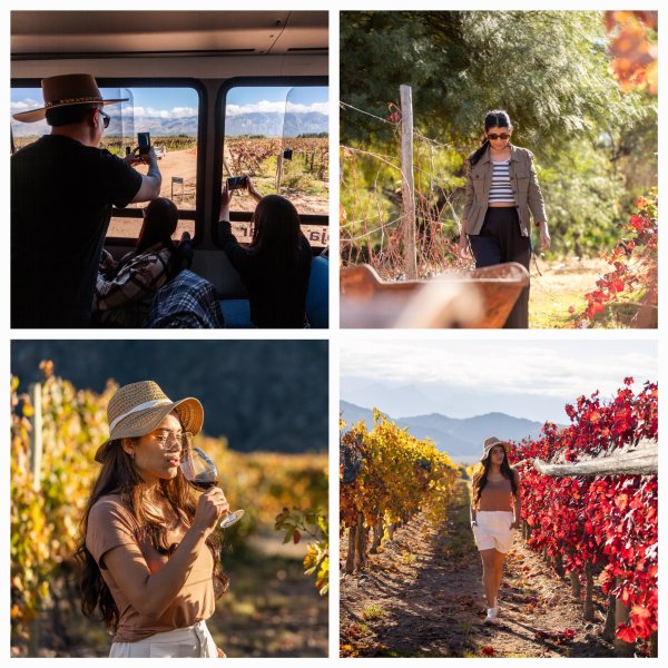 El Bus Tur&iacute;stico de la Ruta del Vino Riojano anunci&oacute; nuevas salidas por la Costa y Chilecito-Famatina