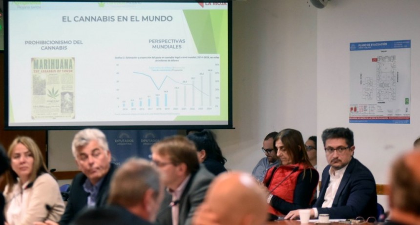Se expuso sobre el Proyecto Cannabis Riojano en la Cámara de Diputados de la Nación
