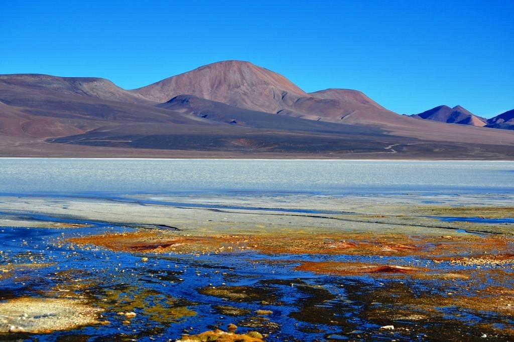 El SENASA determina preventivamente suspender el ingreso de personas y vehículos no autorizados a Laguna Brava.