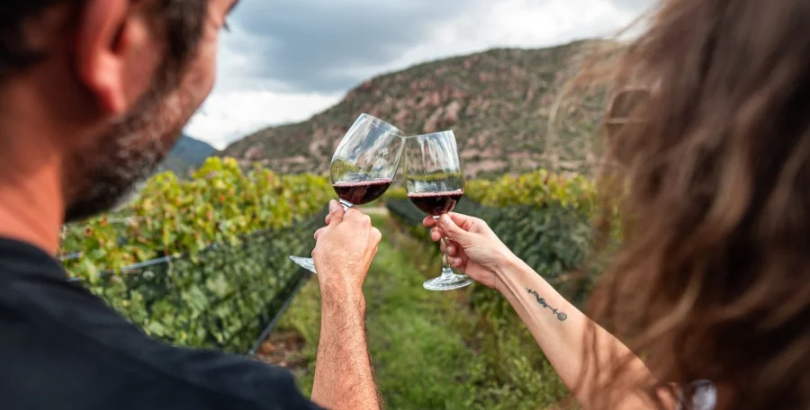 La Rioja es sede de las III Jornadas Nacionales de Turismo del Vino.